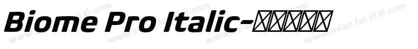 Biome Pro Italic字体转换